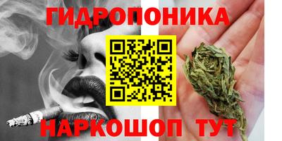 мдпв Дубна