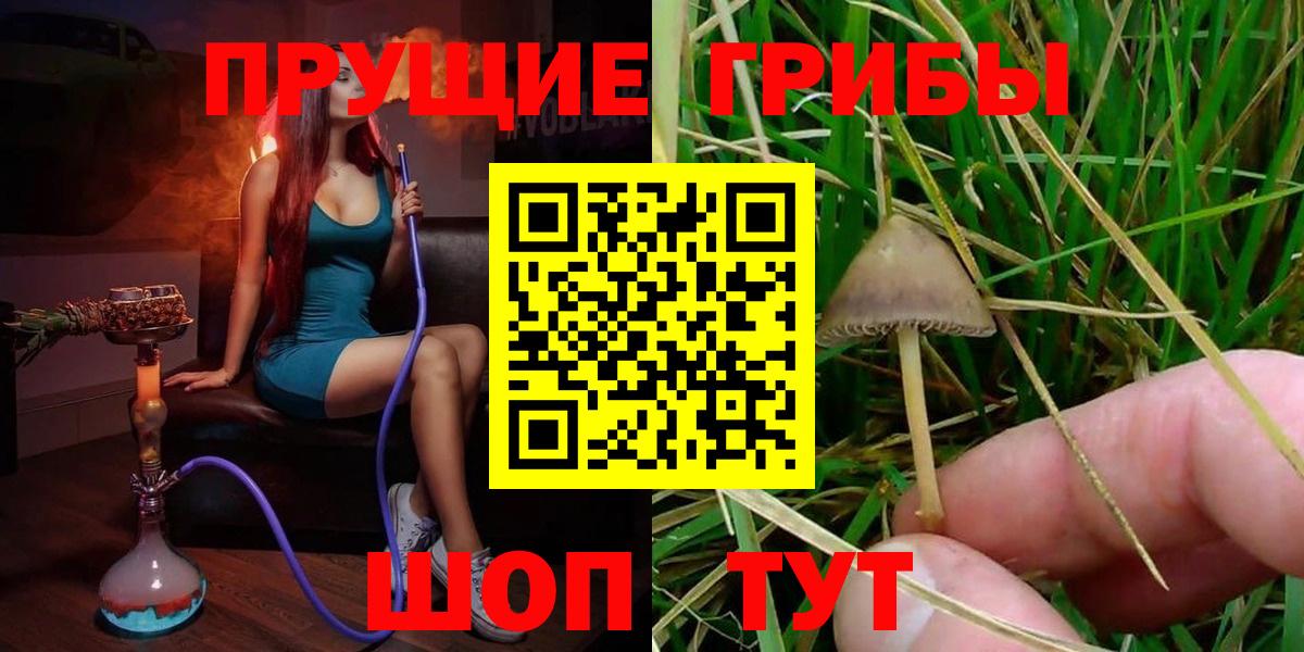 Муром  Псилоцибиновые грибы Psilocybe  Галлюциногенные грибы прущие грибы  Вход с VPN 