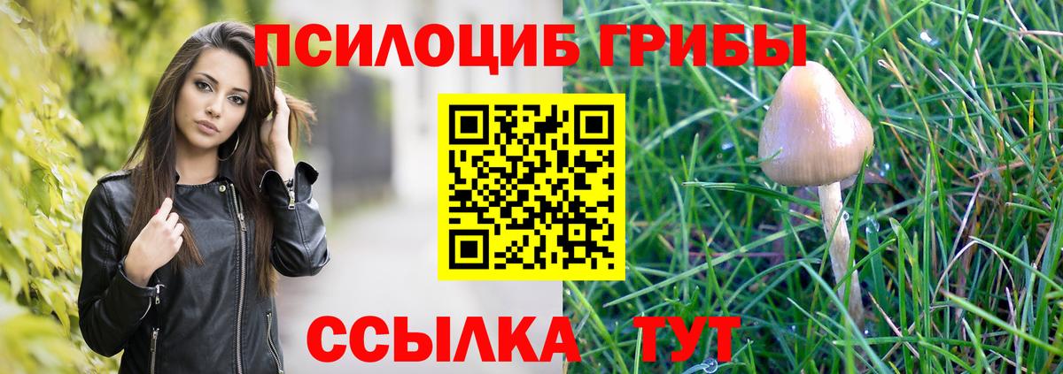 Галлюциногенные грибы Cubensis Муром